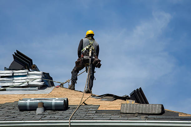 Professional Storm Damage Roof Repair technician working in Carrollton, IL
